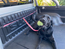 Load image into Gallery viewer, TraySafe Lone Wolf -Ute tray dog safety restraint- Secure your dog to your Ute tray
